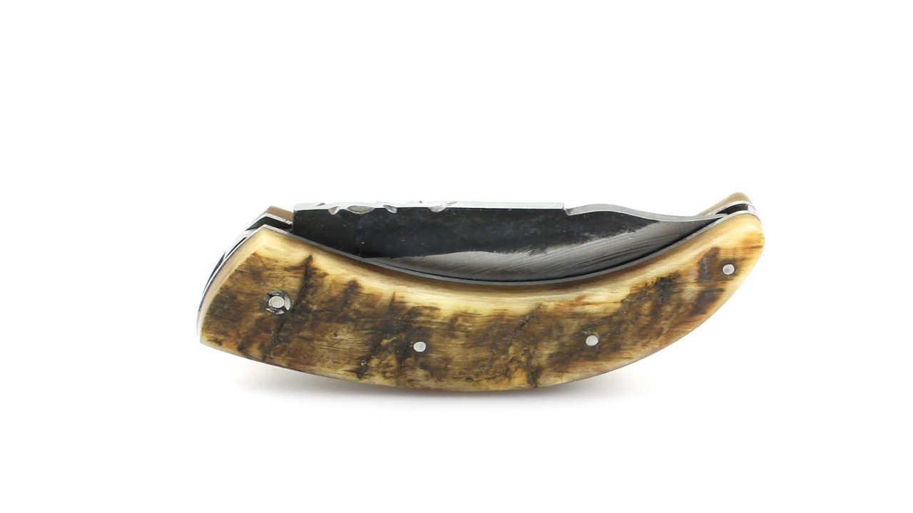 Amicu-Brut-de-Forge-2 AU SABOT AMICU korsisches Hirtenmesser Brut de Forge Widderhorn 11 cm