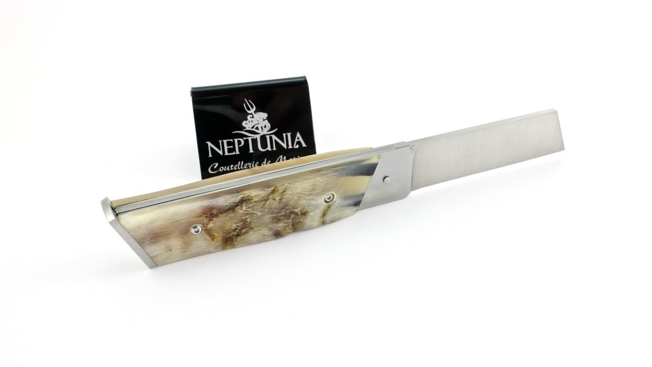 neptunia-dorry-12-cm-widderkruste-2