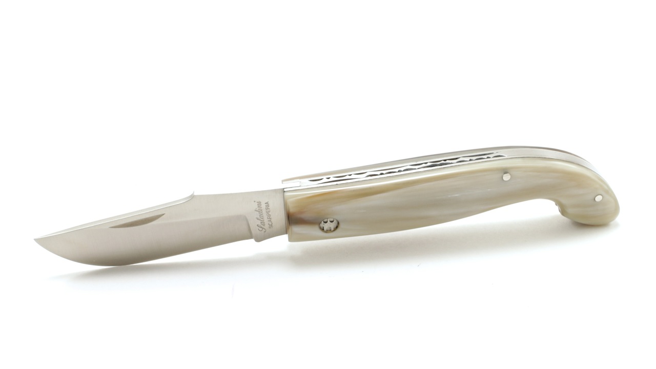 IMG_9591 Saladini SENESE Hornspitze