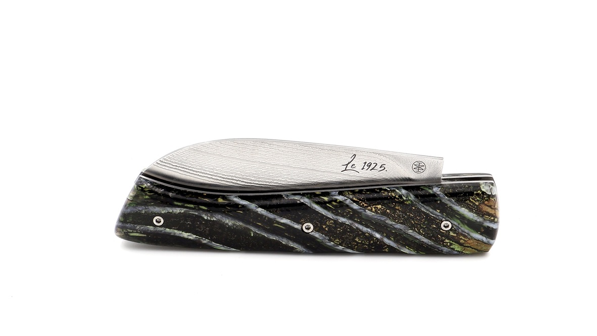 Marie Taillardat Le 1925 Mammut Backenzahn Suminagashi VG10 Damast 