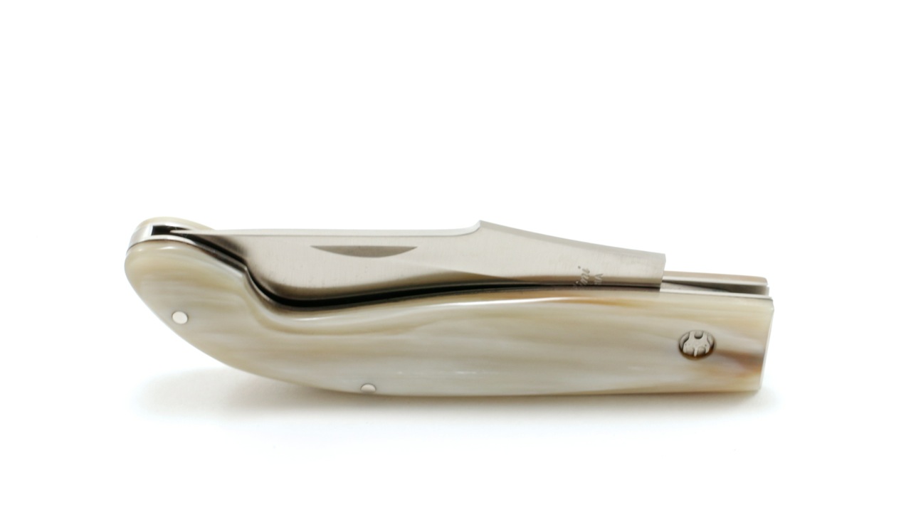 IMG_9587 Saladini SENESE Hornspitze