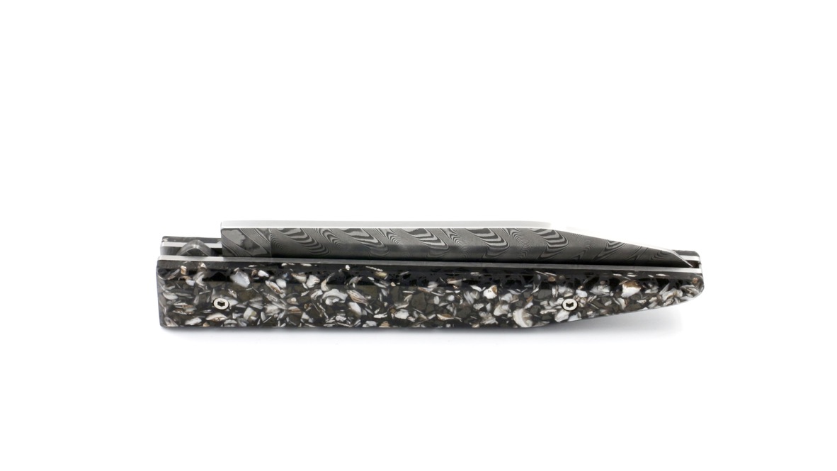 80791008-C96C-4C38-99B5-DF9BD9F6E7D6_1_105_c Charles Canon Le TERRIL Damastklinge Griff polierte Kohle und Austernschalen