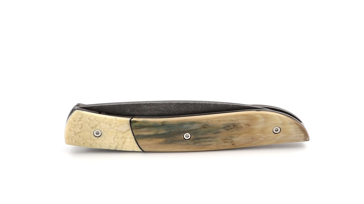 Tim Bernard  NÉVÉ mammoth ivory stabilized