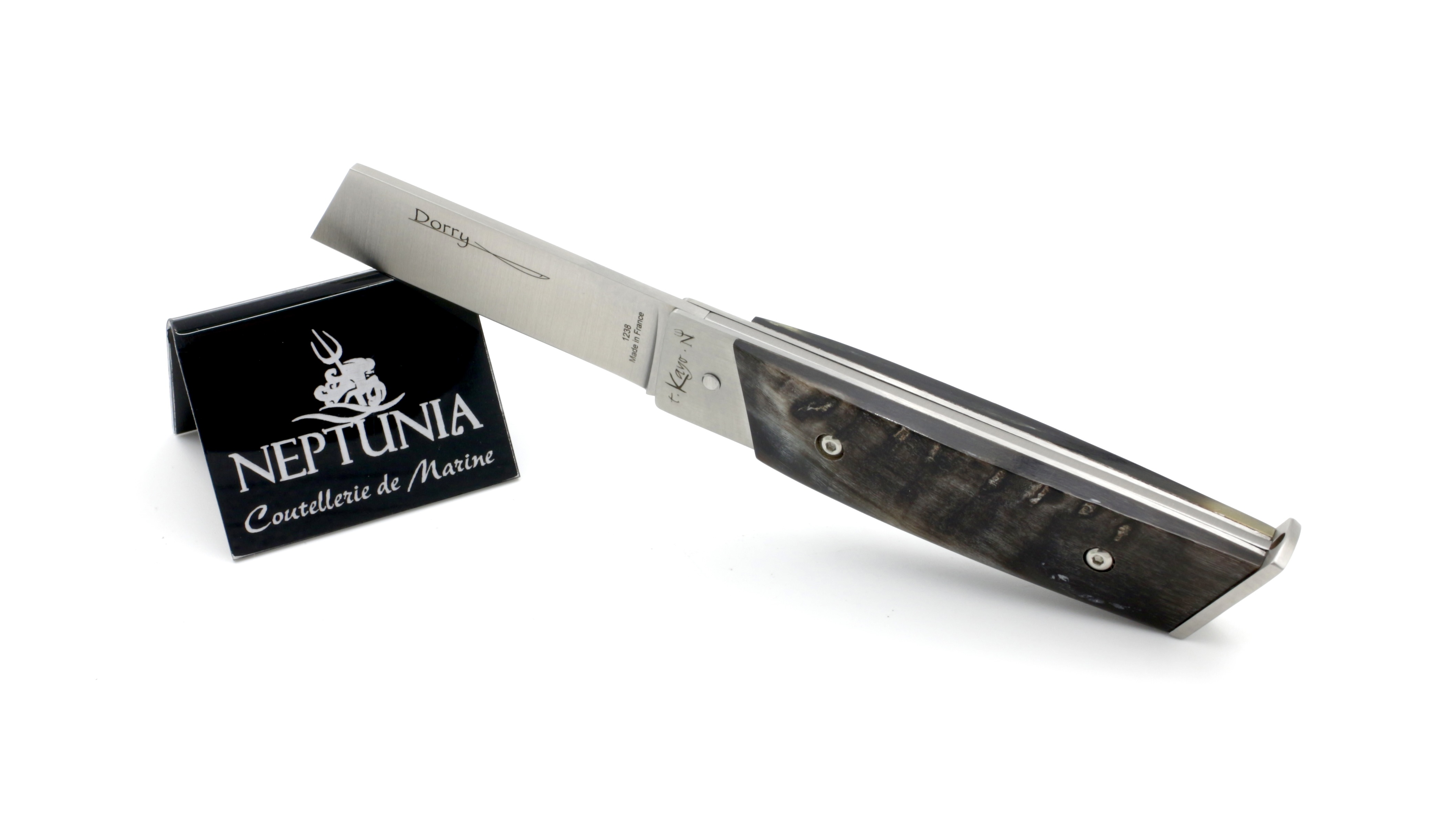 1BCACE1D-BD3C-4DAE-97C7-6C0DF739A481_1_201_a NEPTUNIA DORRY 10 cm Büffelkruste