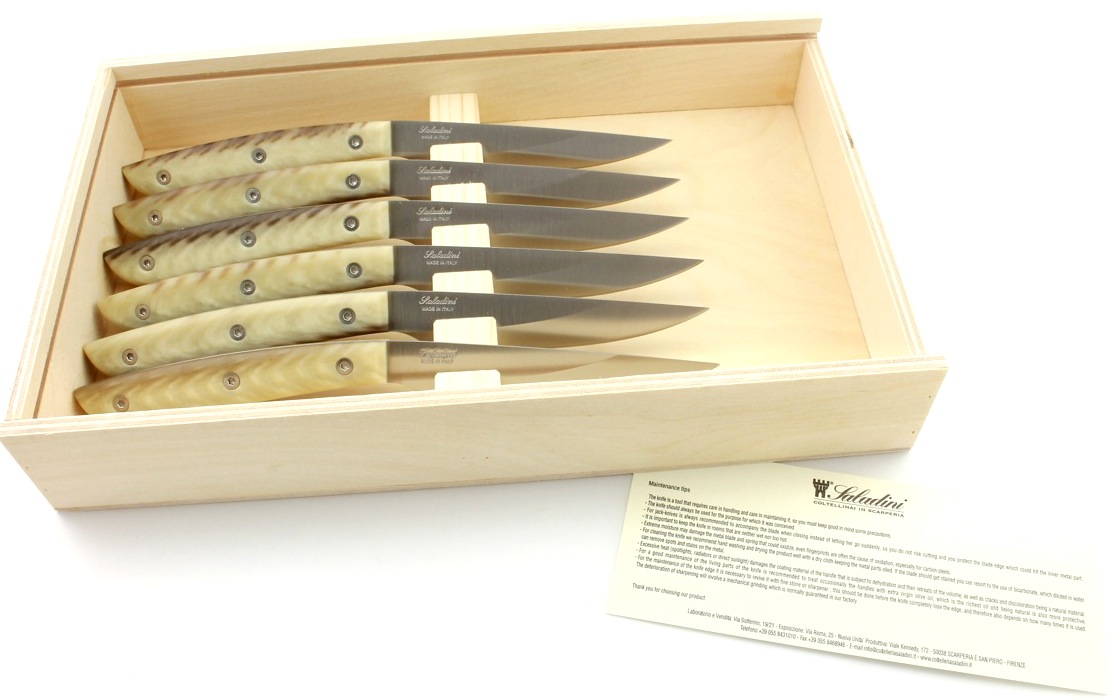 Saladini Steakmesser-Set 6-tlg. Sliced Resin