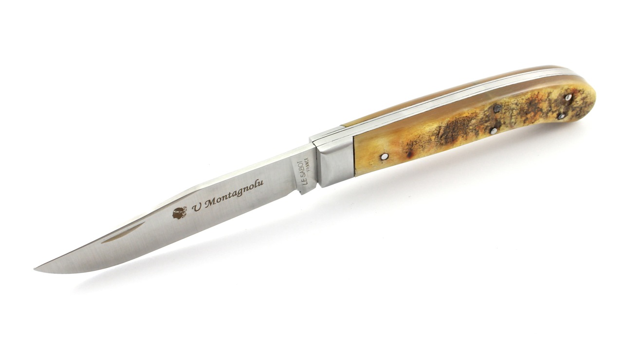 Sabot-Montagnolu-Widderhorn-5 U Montagnolu Yatagan Corse  Widderhorn von Au Sabot