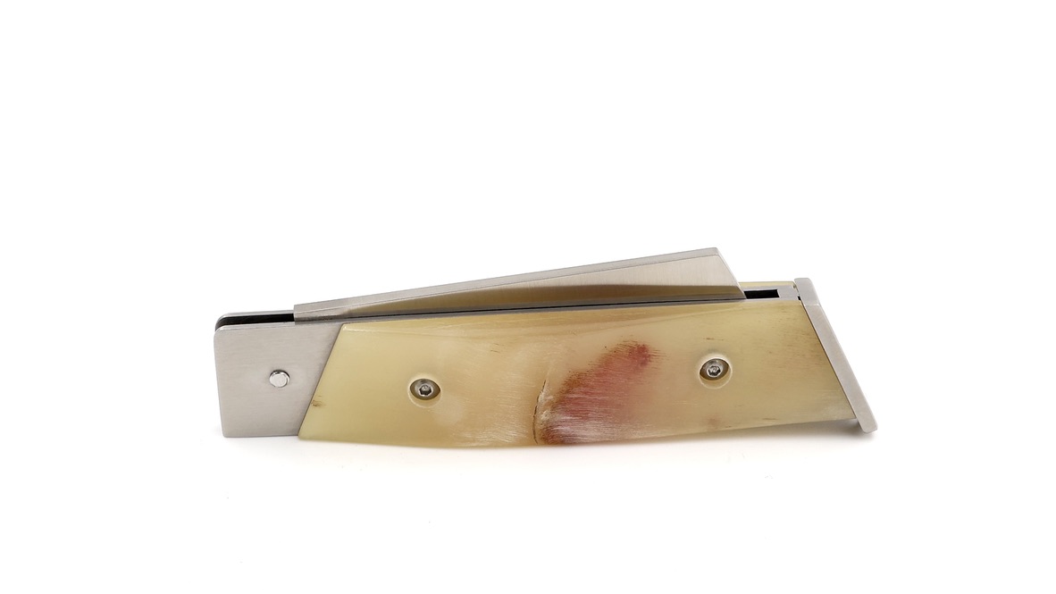 NEPTUNIA DORRY 10 cm Widderkruste