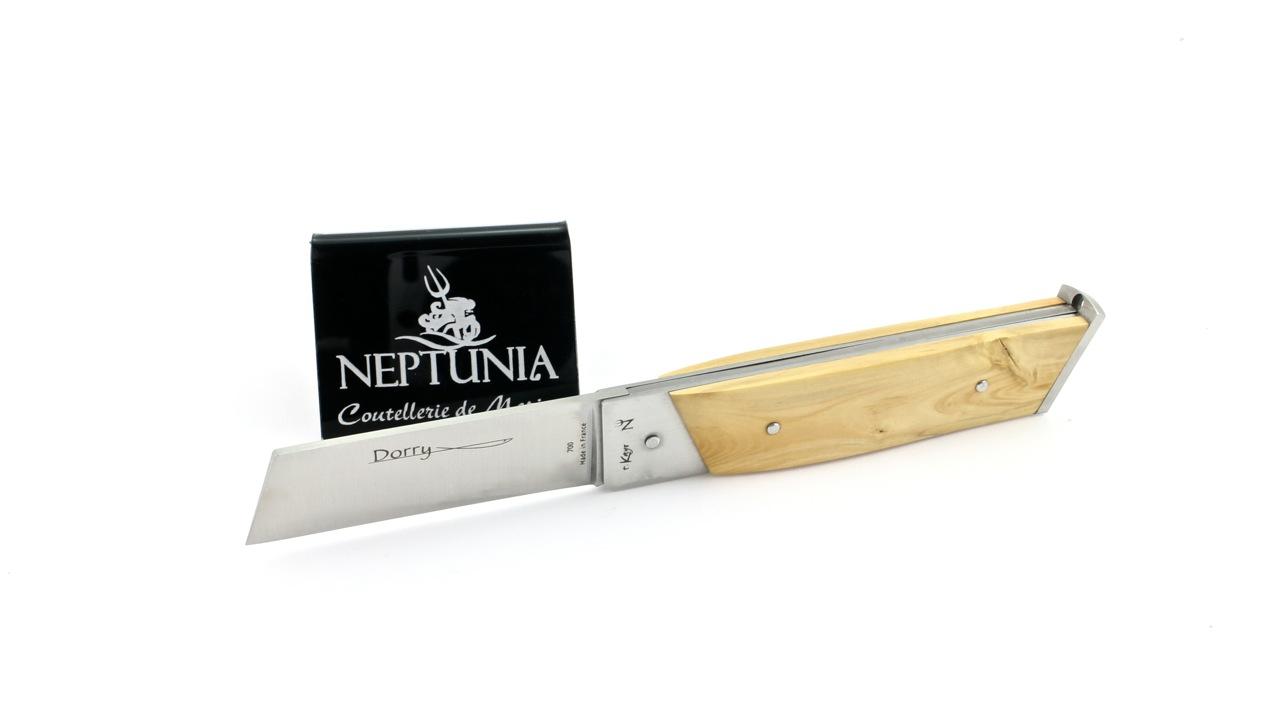 neptunia-dorry-10-cm-buchs-1  NEPTUNIA DORRY 10 cm Buchsbaum