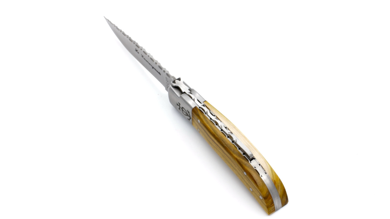 Le Camarguais knife pistachio with chiseled plates and blade 10 cm