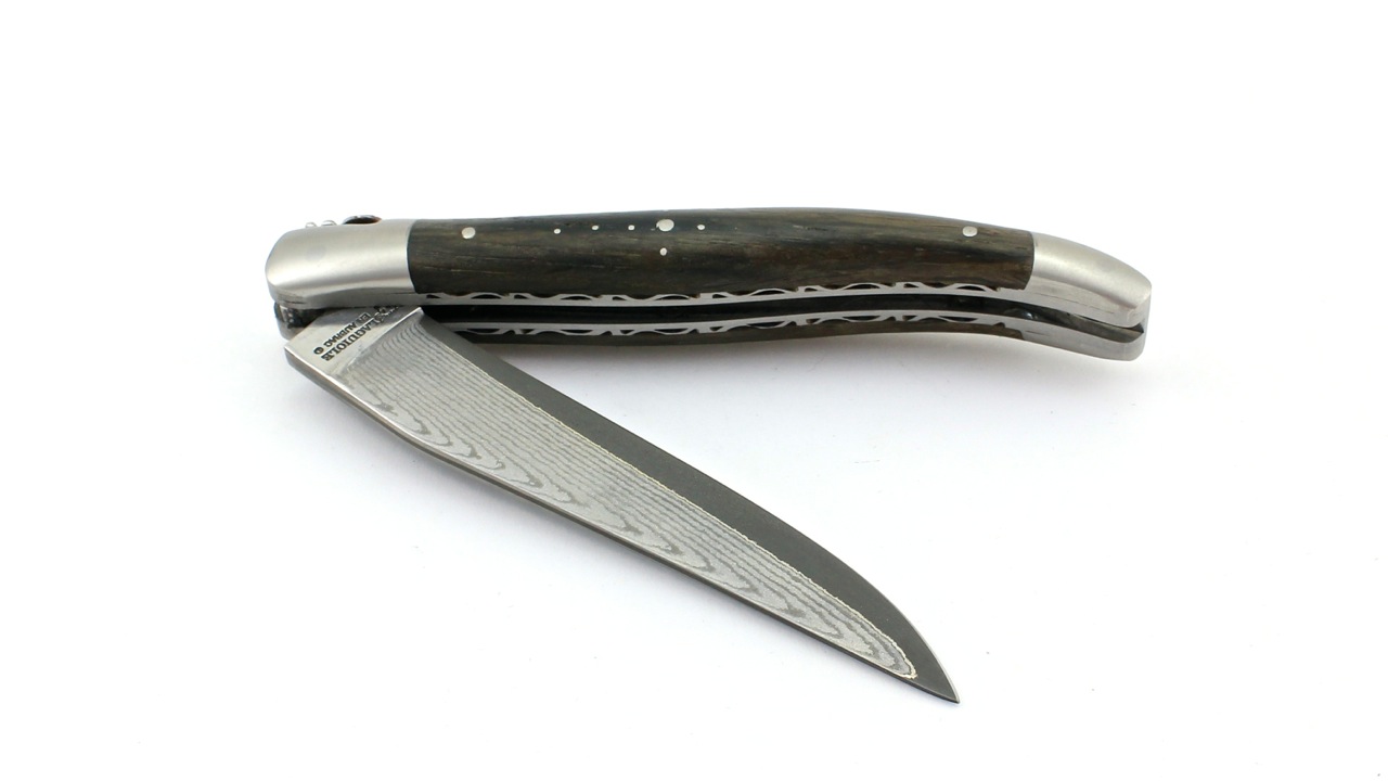 IMG_4387 Laguiole en Aubrac jap. Damastklinge Mooreiche matt Doppelplatine 12 cm