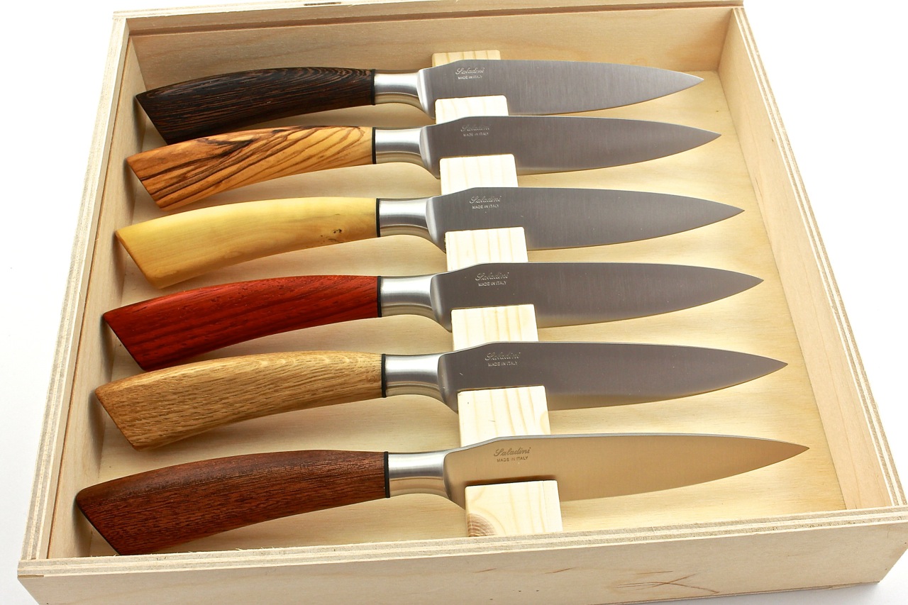 Saladini Rustico großes Steakmesser Set 6-tlg. Hölzer gemischt