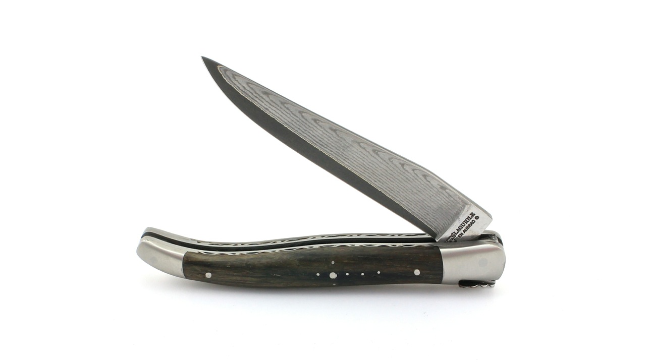 IMG_4388 Laguiole en Aubrac jap. Damastklinge Mooreiche matt Doppelplatine 12 cm