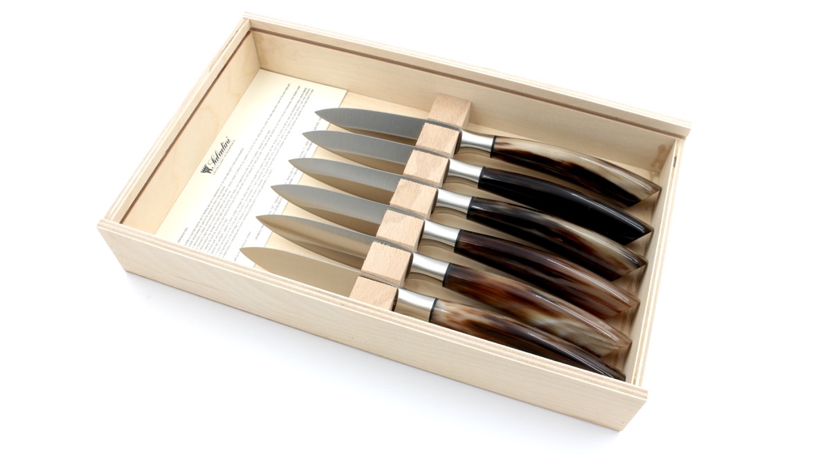 Saladini table knife Set of 6 horn tip