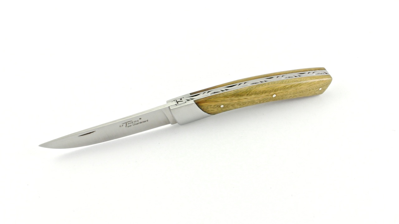 Compact-Gaiac-3 Chambriard Thiers COMPACT Gaiac (Guayac)