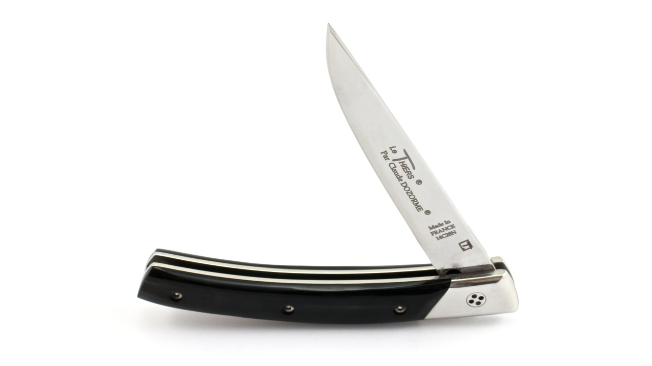 IMG_8464 Claude DOZORME Thiers SECRET buffalo horn