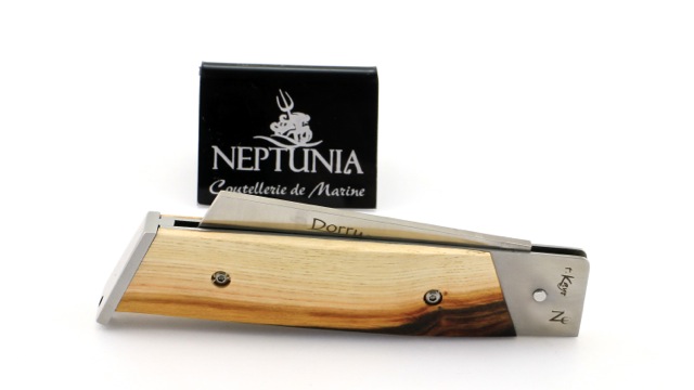 DORRY-12-cm-Pistazie-2 NEPTUNIA DORRY 12 cm Pistazie