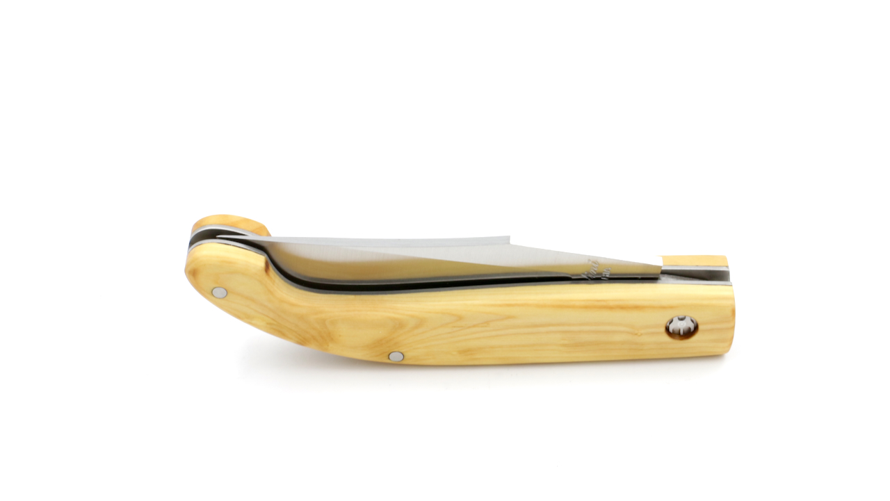 1034-BO Saladini ZUAVA klein Buchs