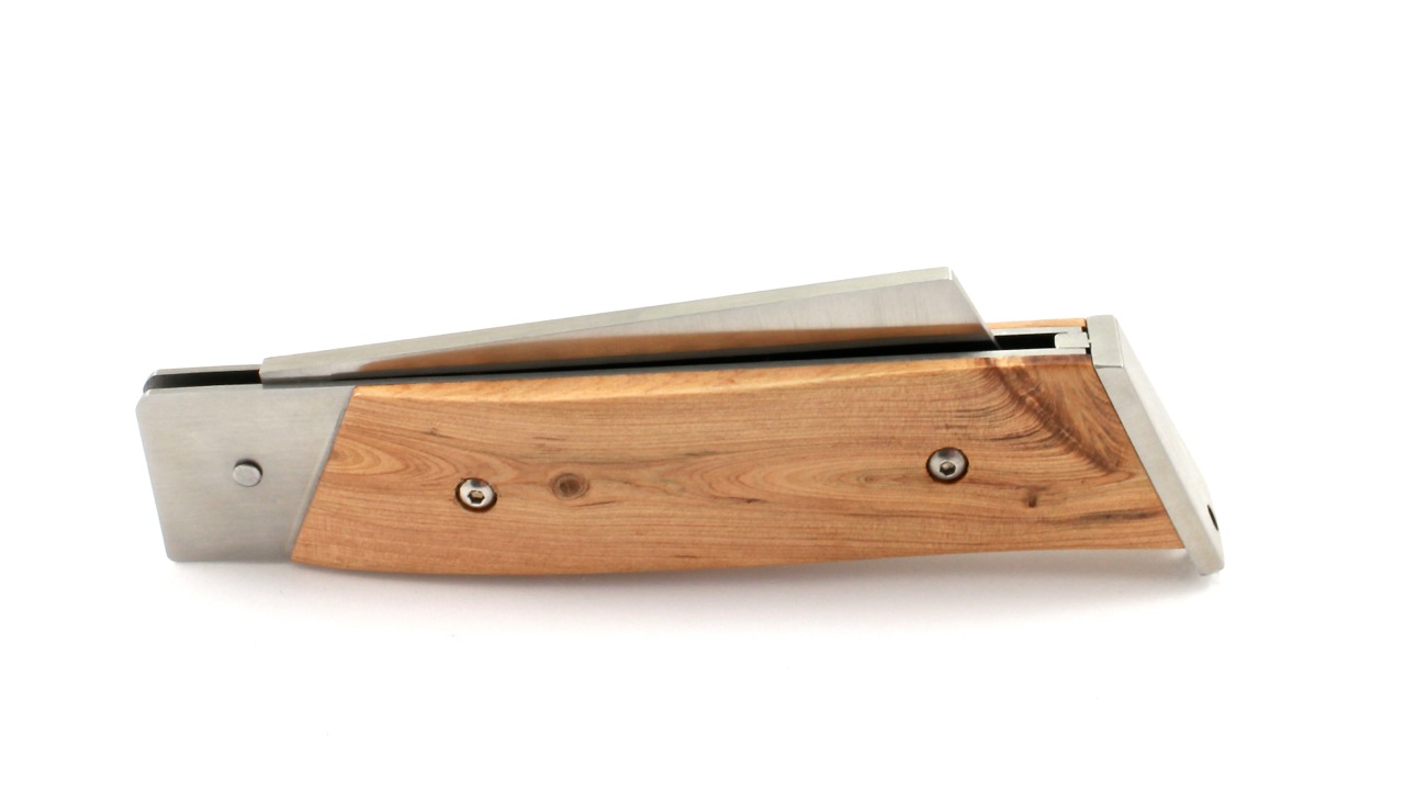 DORRY-12-cm-GEI-6 NEPTUNIA DORRY 12 cm Wacholder