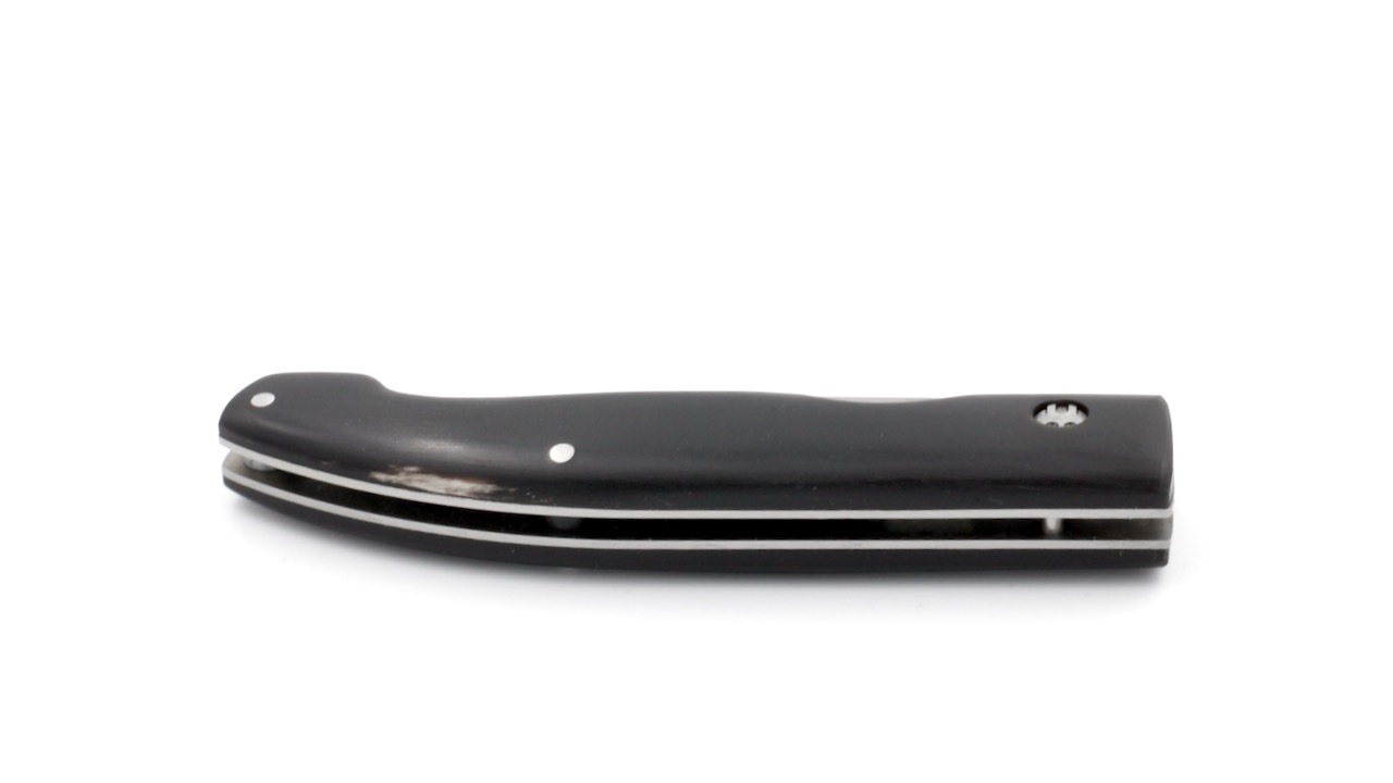 IMG_1878 Saladini ZUAVA NEXT Büffelhorn