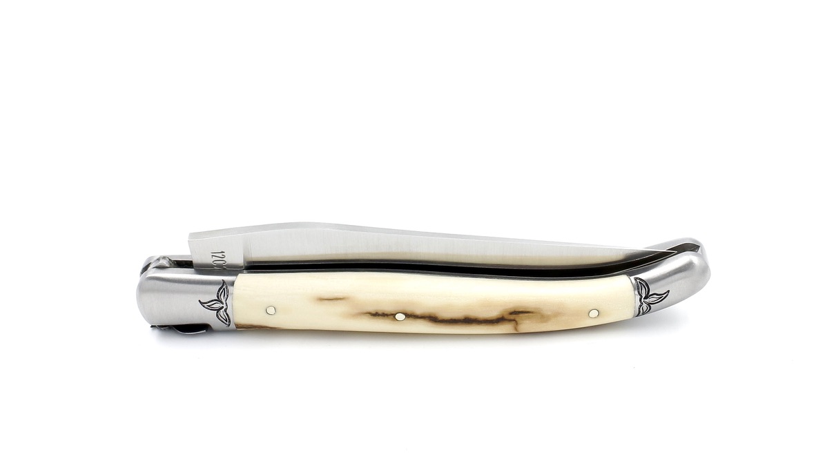 73865AB1-6422-49C4-90A7-C069EDEDBC55_1_105_c Meisterstück Laguiole en Aubrac Mammutelfenbein Kruste 12 cm