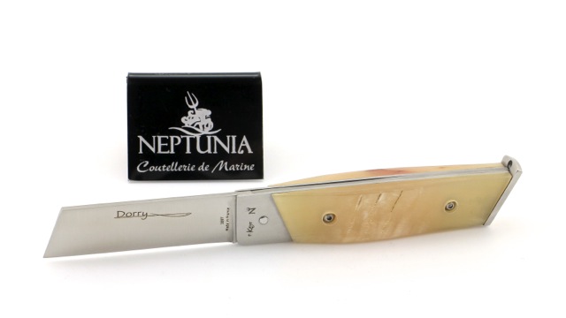 Neptunia Dorry 10 cm WIdderkruste