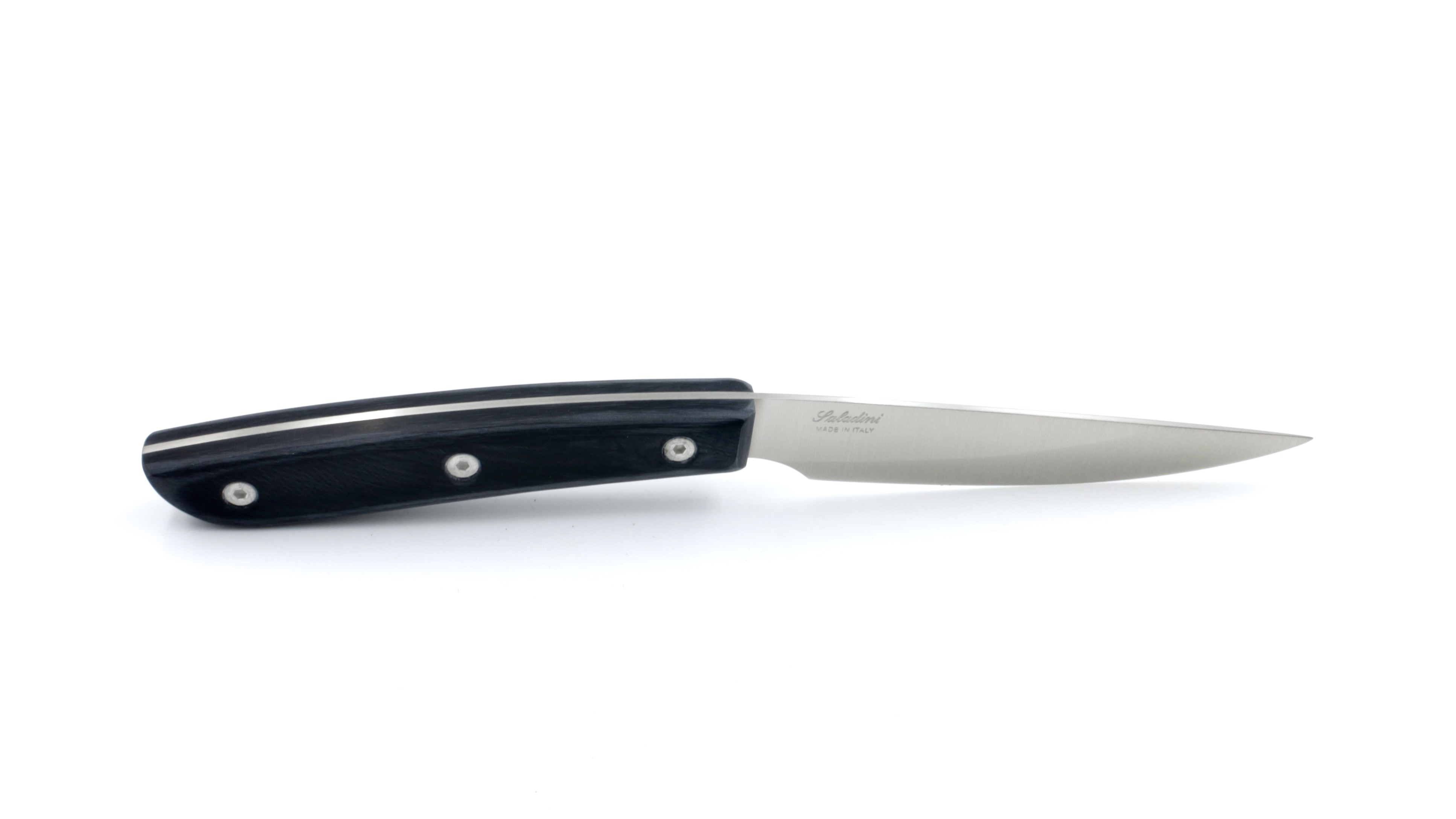 Saladini Steakmesser-Set 6-tlg. Sliced Resin schwarz