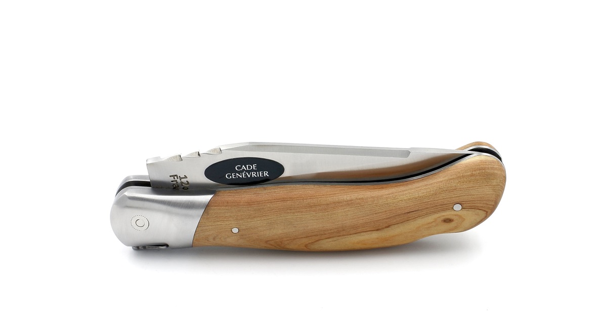 35D394F3-1432-429E-8F61-474633A4BE2E_1_105_c ARBALETE G. David Laguiole Jagdmesser NATURE mit Korkenzieher Olive 12 cm