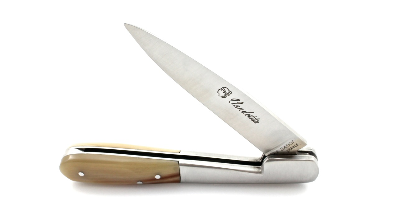 Sabot-Vendetta-Hornspitze-4 AU SABOT VENDETTA Hornspitze 11 cm