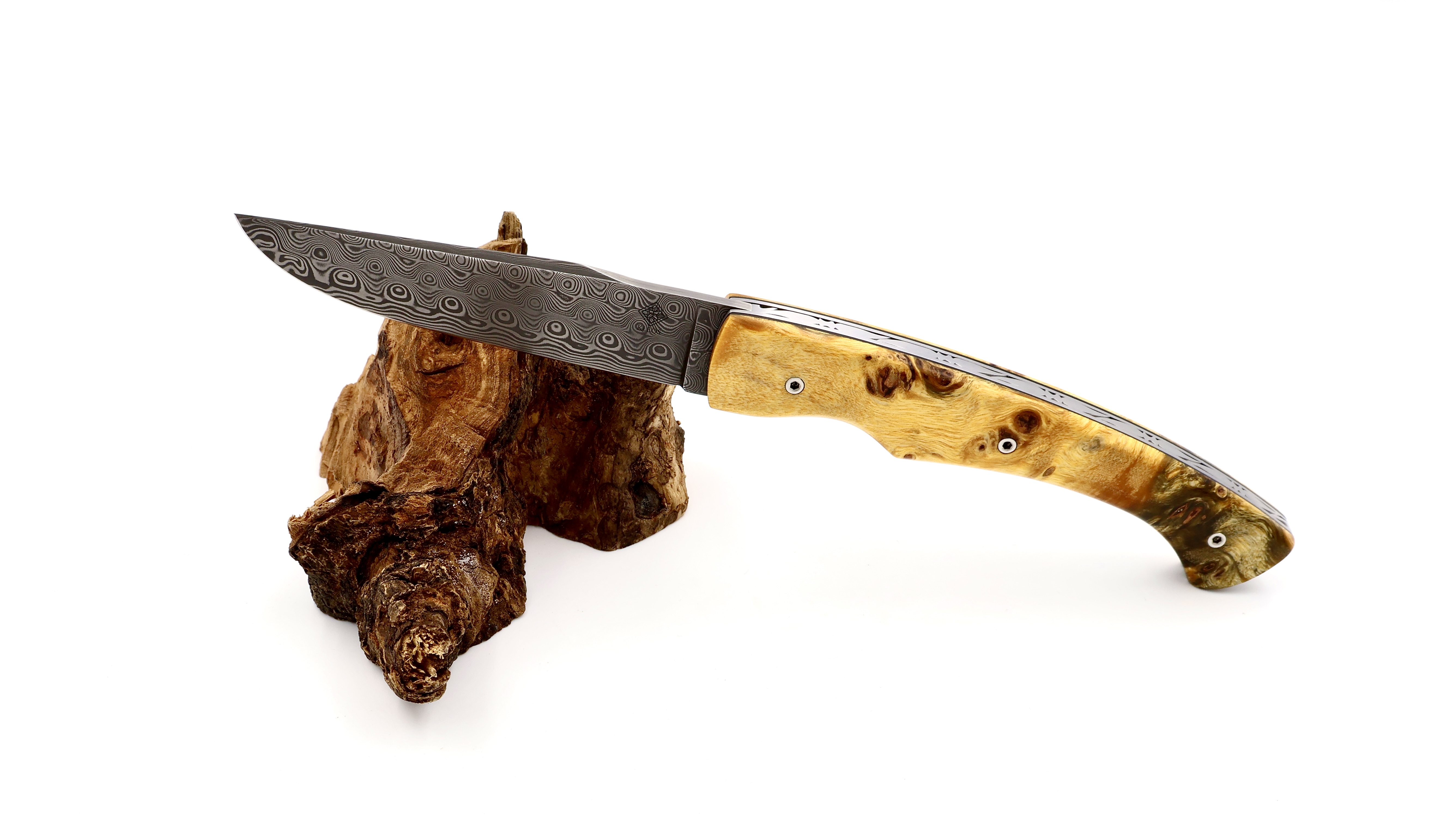 KLEOS folding knife LYKOS burl of polplar wood damascus blade