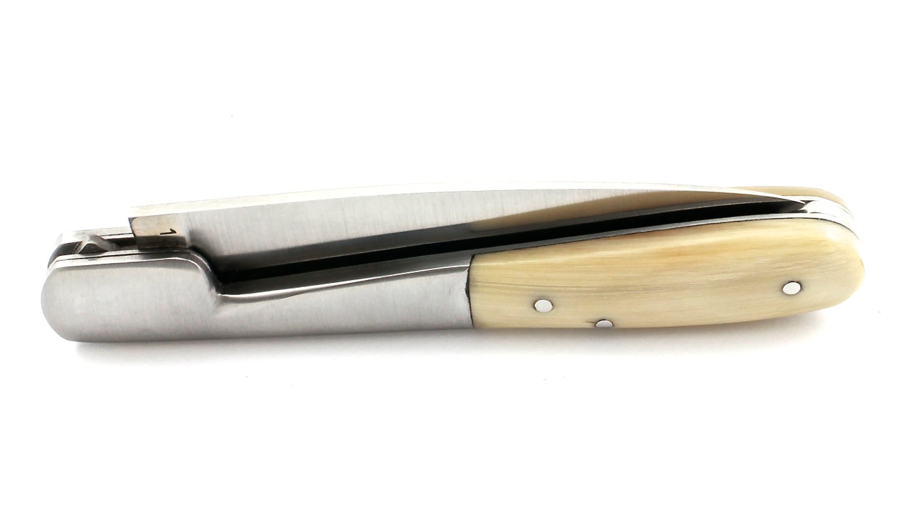 Sabot-Vendetta-Hornspitze-3 AU SABOT VENDETTA Hornspitze 11 cm