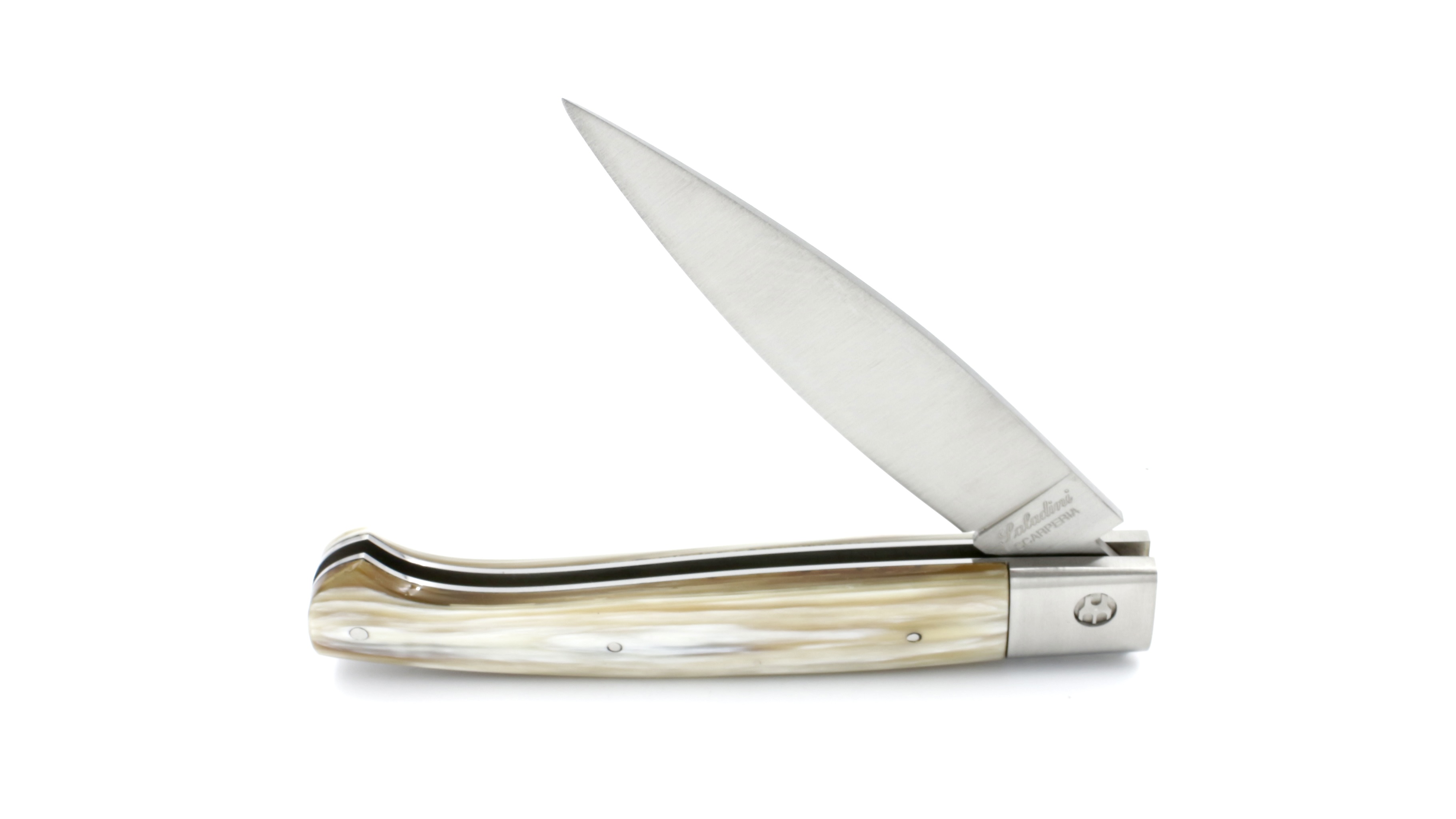 58A4831B-15FC-478C-923E-78CDE32E0FE9_1_201_a Saladini PATTADA CON SODI Hornspitze