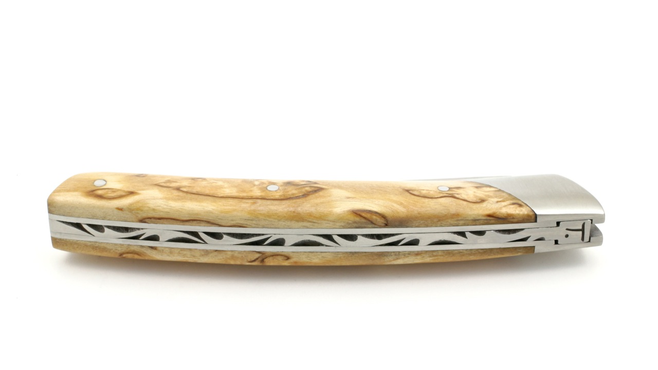 Chambriard-Compagnon-Birke-2 Chambriard Thiers COMPAGNON  Maserbirke