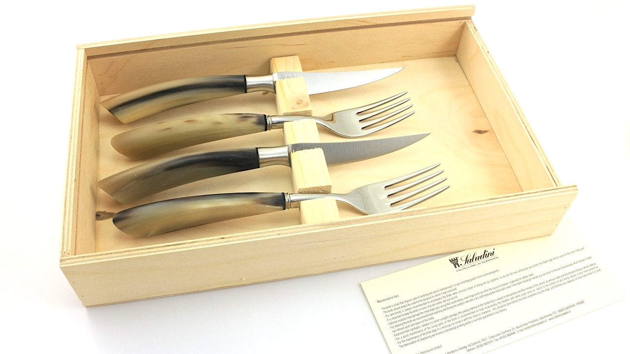 Saladini 2 Steakmesser 2 Gabeln Hornspitze Set für zwei Personen