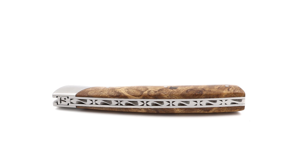 Chambriard Thiers COMPAGNON Robinie 