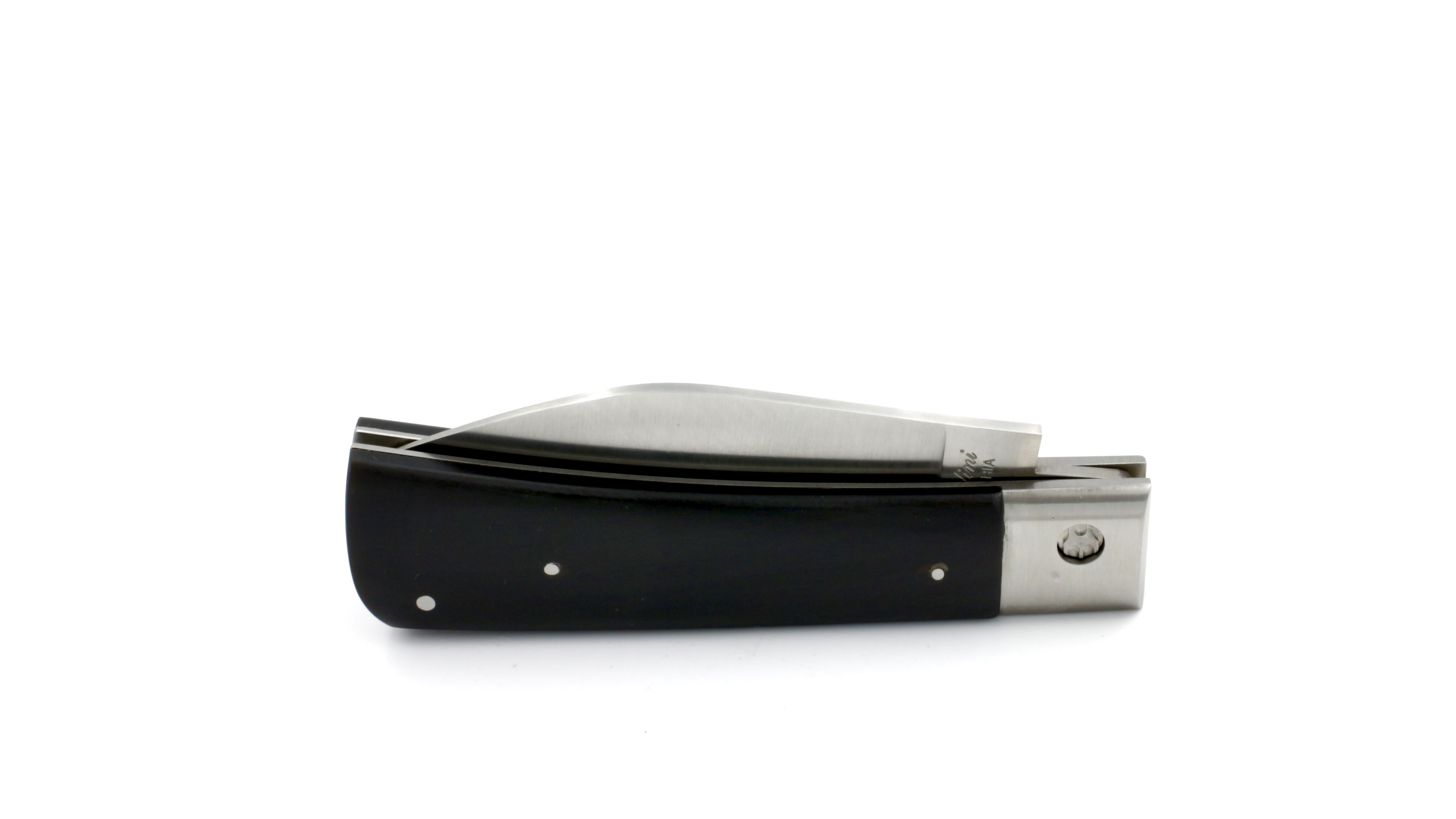 DC050EB5-97CF-4048-B861-8643E63C1C86_1_201_a Saladini MUGGELANO Büffelhorn matt