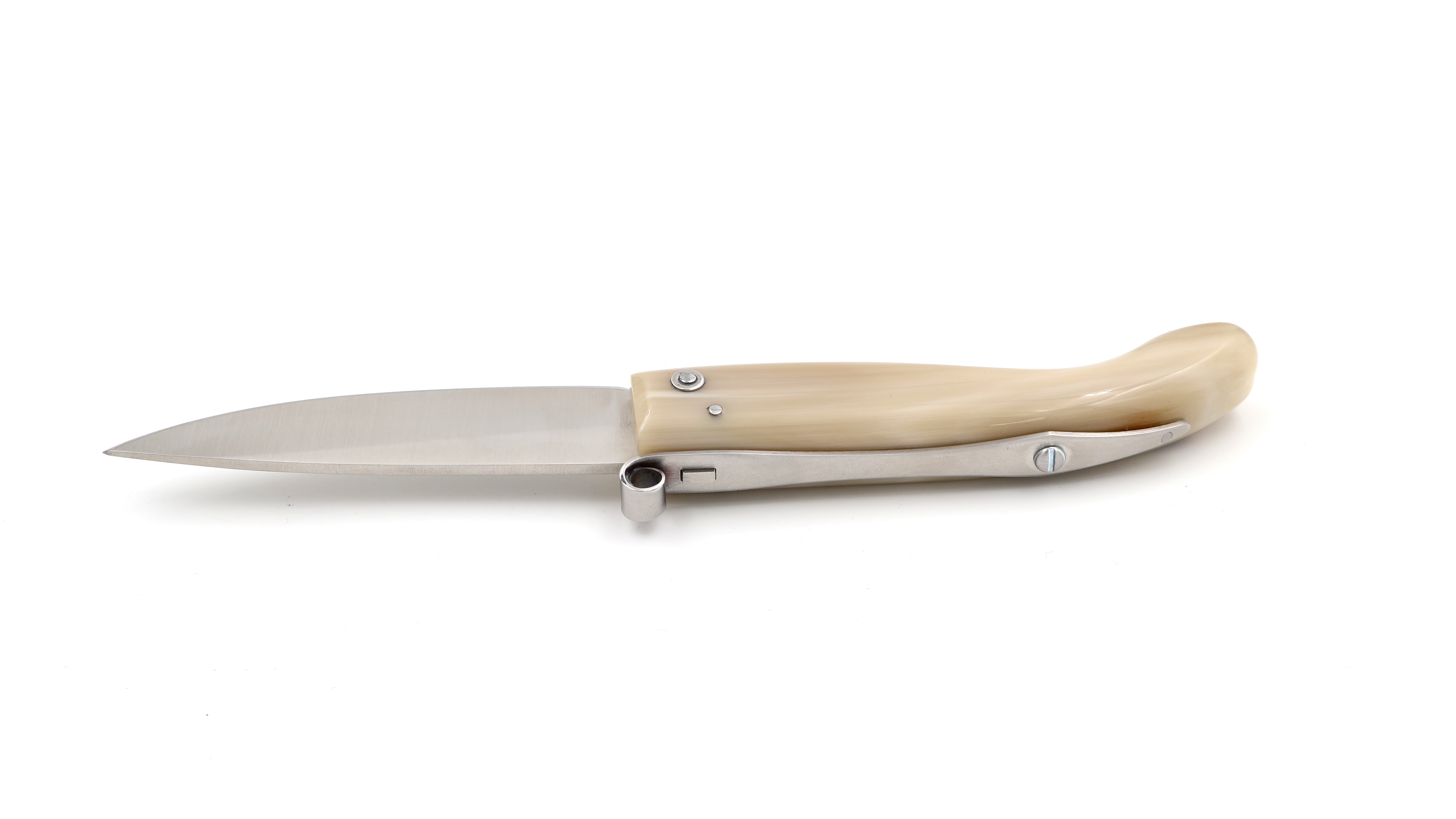 Nino Nista Saracca Romagnola Hornspitze 20 cm