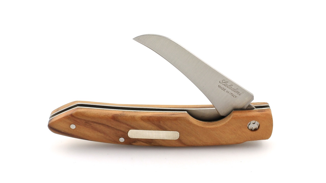 IMG_7996 Saladini FUNGHI Pilzmesser Olive