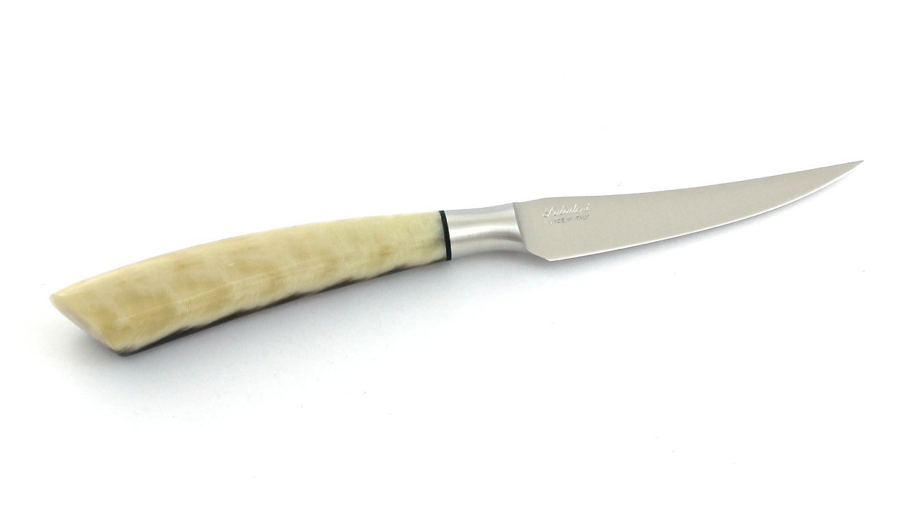 Saladini-Resin-2 Saladini steakknives resin scales set of 6