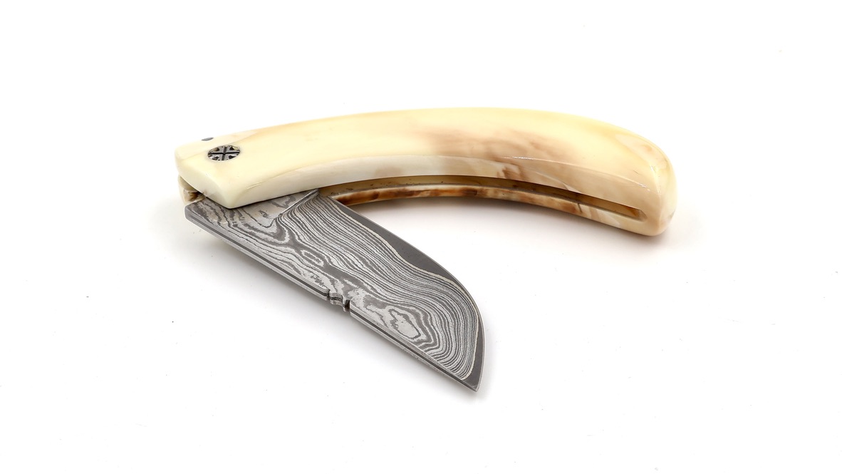 Coutellerie du Lotus Cornicciolu Wüstenwarzenschwein Elfenbein Damast