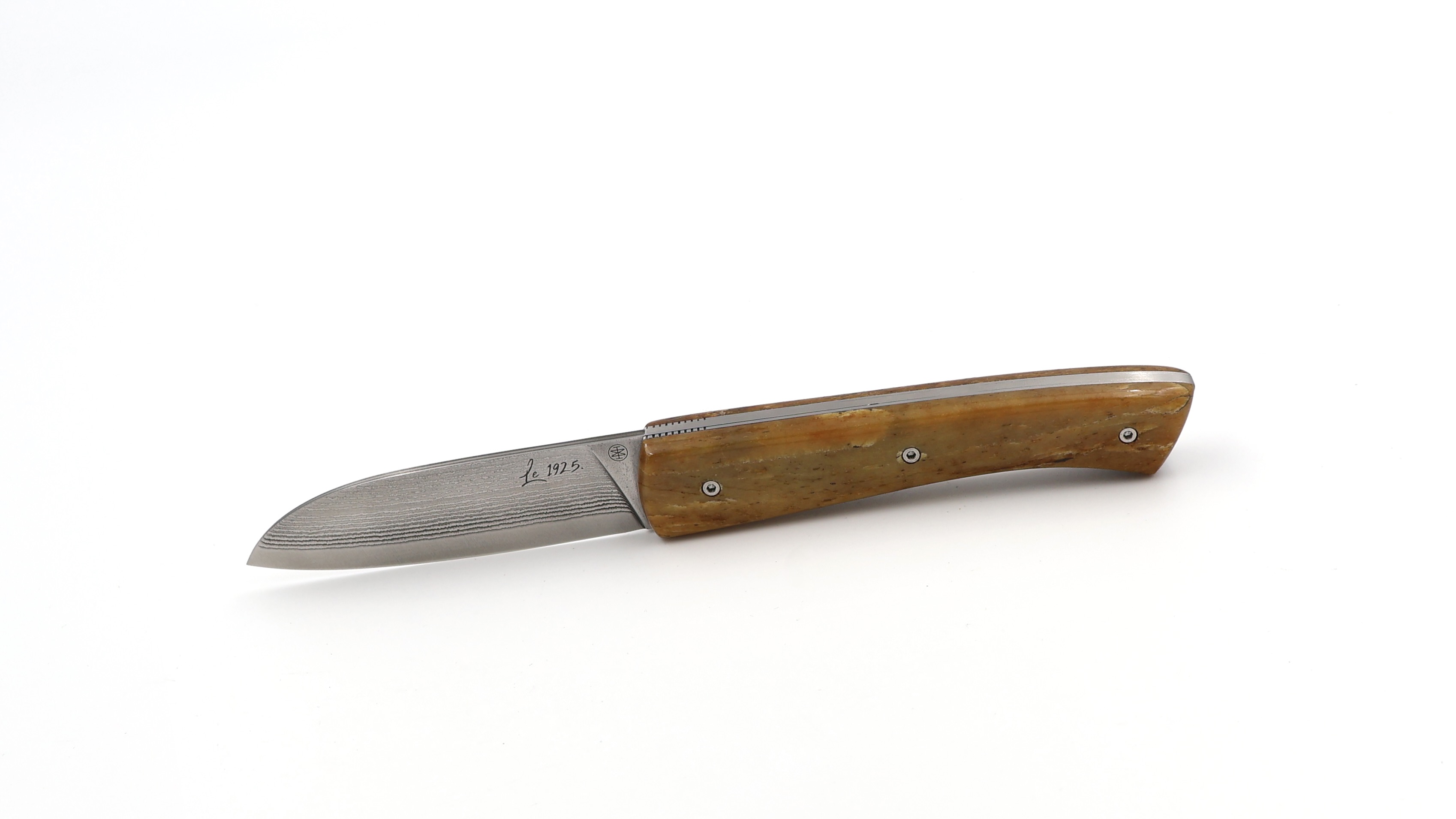 Marie Taillardat Le 1925 BB Suminagashi VG-10 Damascus fossil steller's seecow bone 