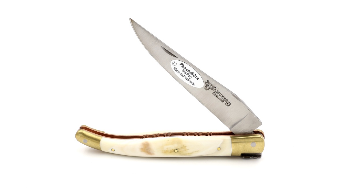 Laguiole en Aubrac BIJOU Warzenschwein Elfenbein guillochierte Platine 12 cm