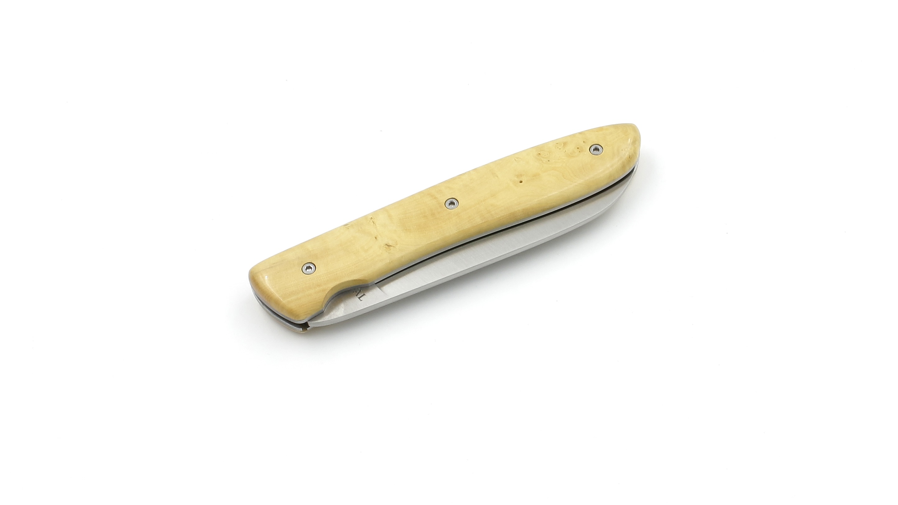 FDB16A61-79B9-4819-AD27-73A5DD8071A5_1_201_a PERCEVAL L08 Buchsbaum