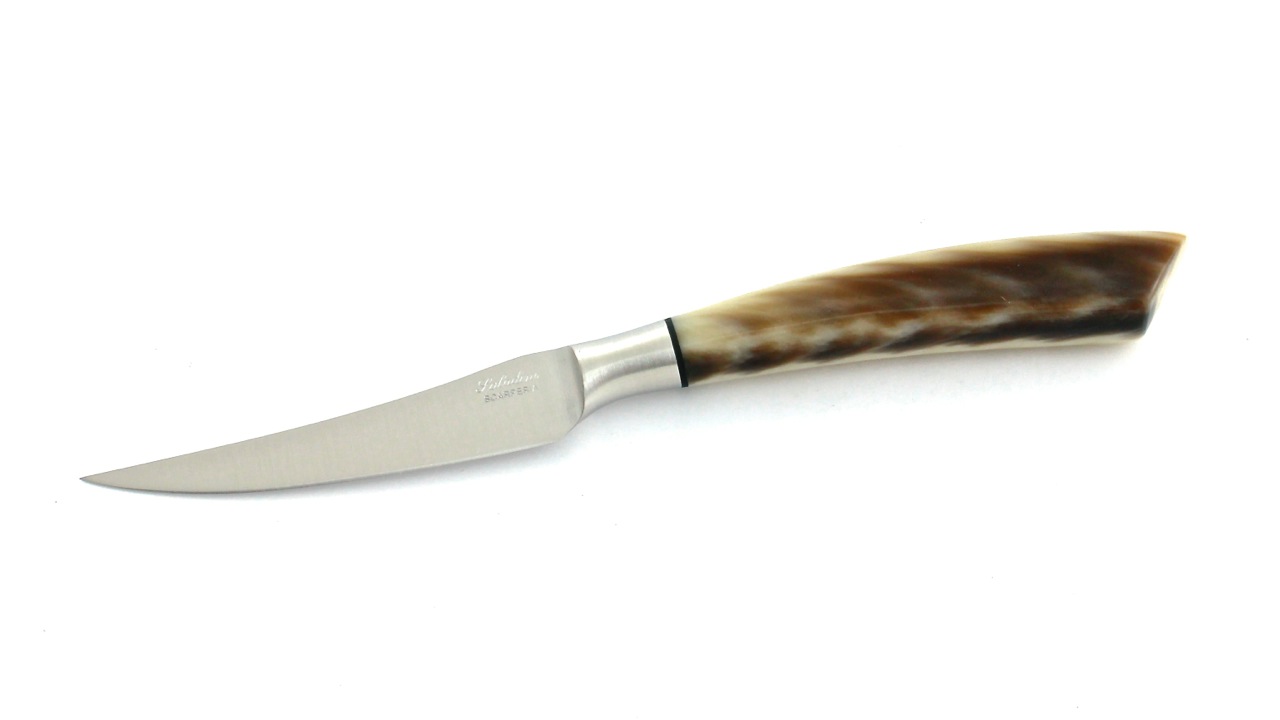 Saladini-Resin Saladini steakknives resin scales set of 6