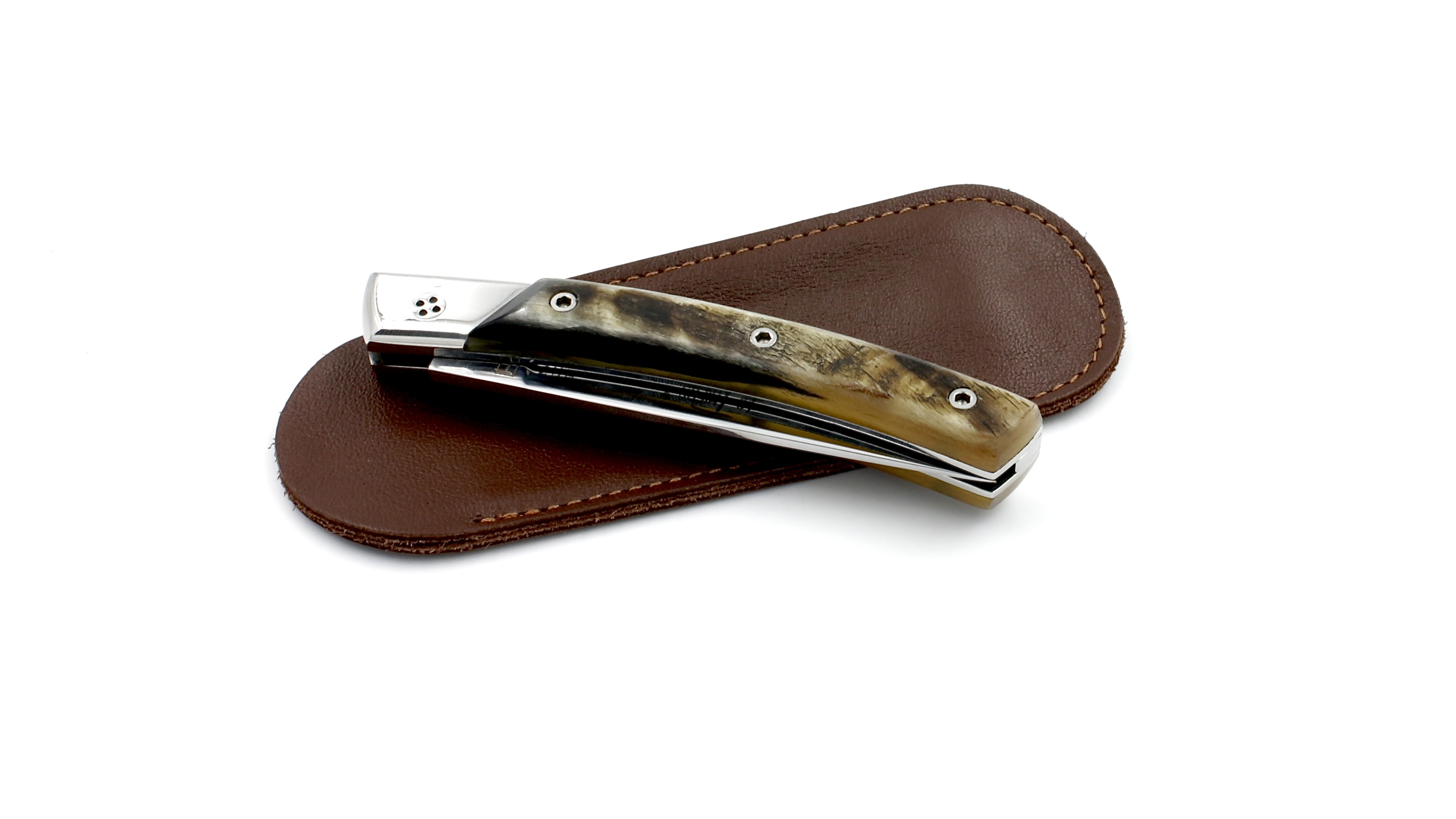 AC781920-8193-47D3-9ED9-6949AE13764D_1_201_a Claude DOZORME Thiers SECRET ram horn chiseled plates