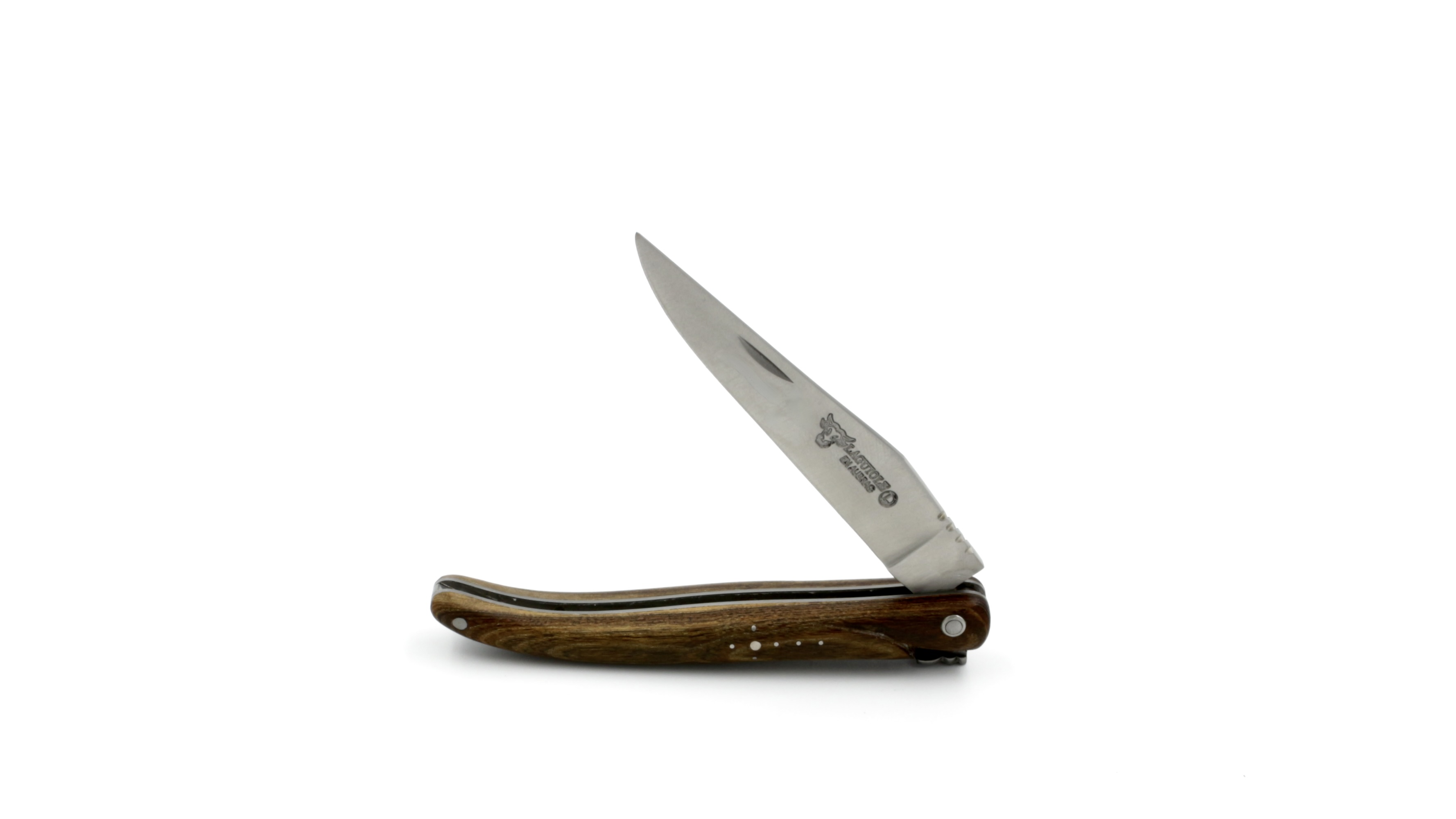 70779689-5FC2-46F3-8CFB-FE0CF19F673B_1_201_a Laguiole en Aubrac Pistazie massiv 10 cm