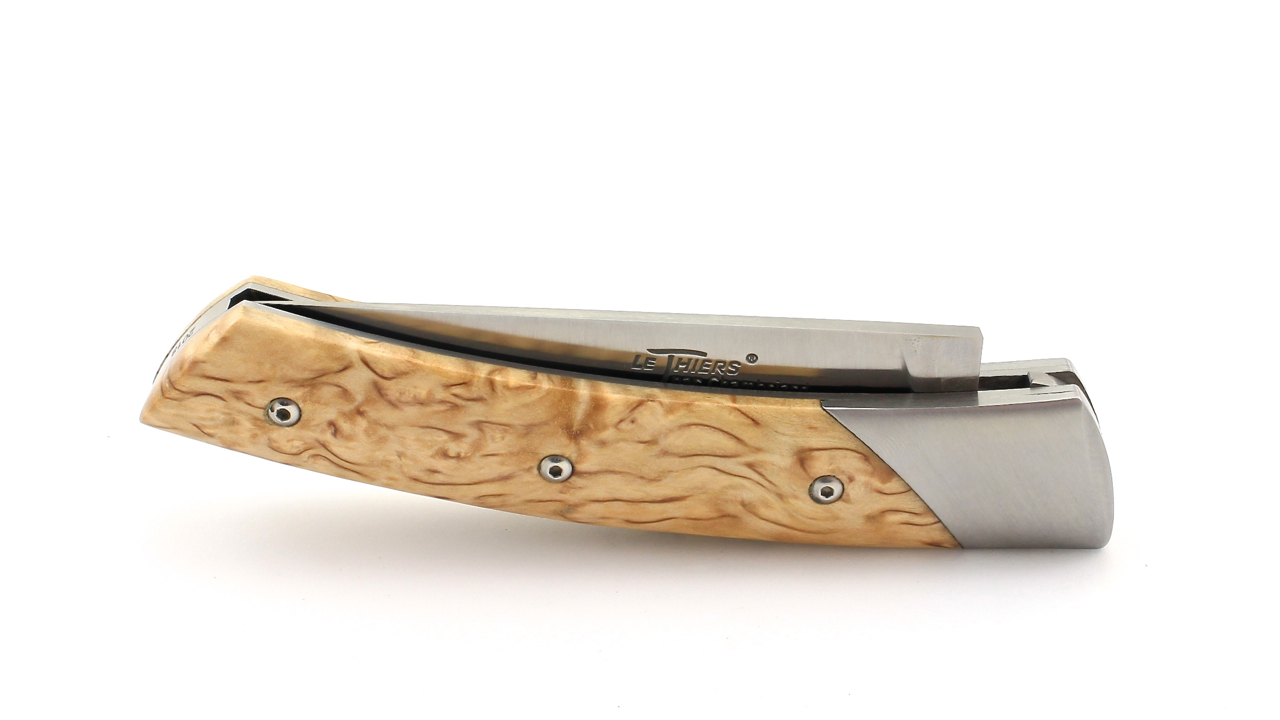 TRAPPEUR-Birke-4 Chambriard LE TRAPPEUR Maserbirke