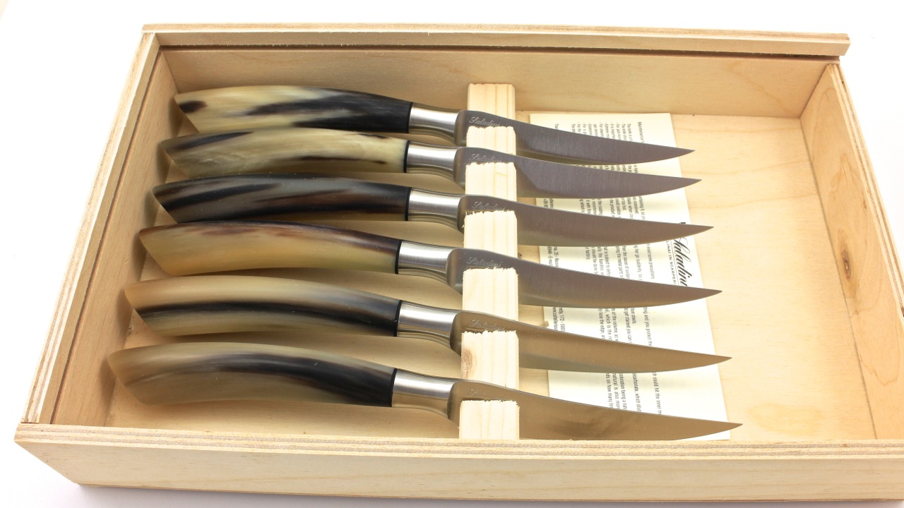 Saladini steaknives set of six horn tip mat 