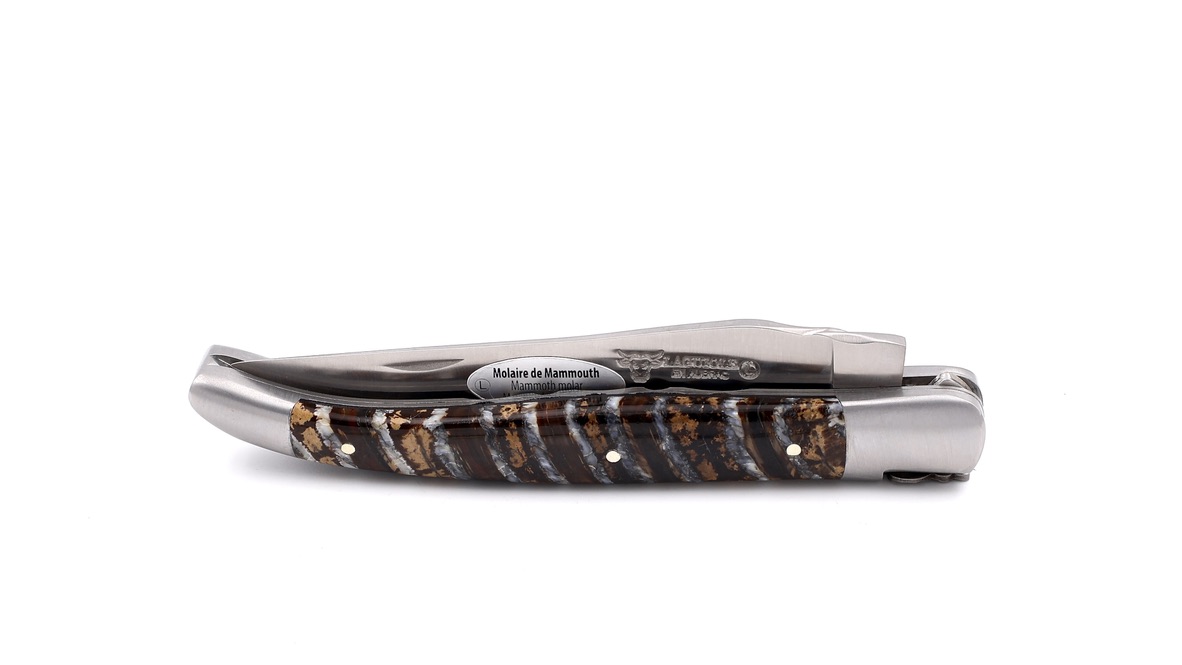 Laguiole en Aubrac double plate knife Mammoth blue/brown 12 cm