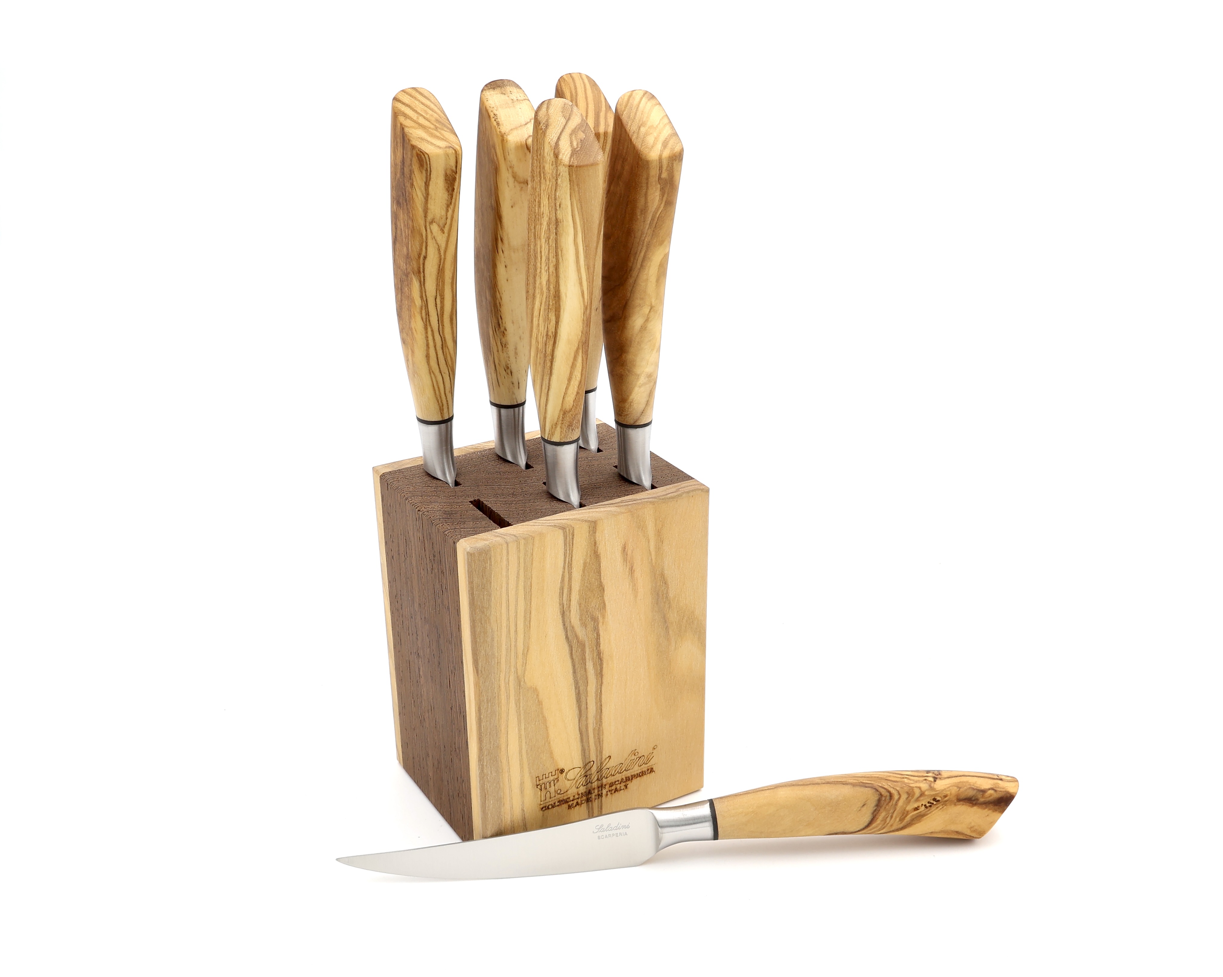 Saladini Messerblock CUBO Wenge/Olive 