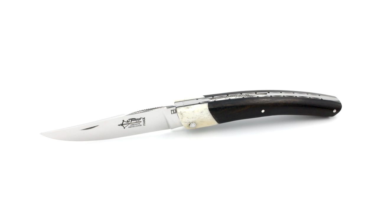 IMG_5032 Laguiole ARBALETE G. David Thiers Messer Ebenholz/Knochen 12 cm